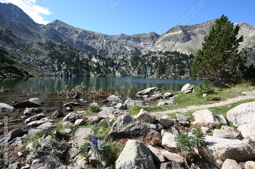 estany de carança - etang de la carança photo