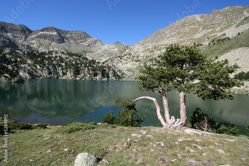 estany de carança - etang de la carança photo