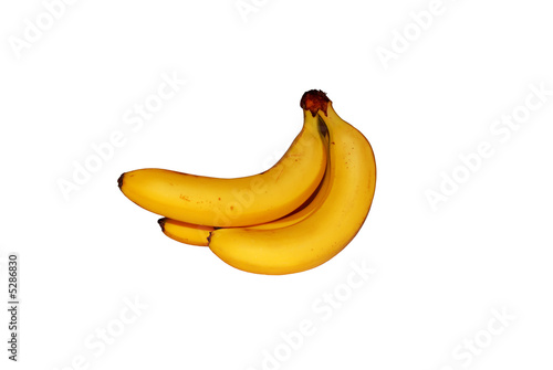 A bunch of banana
