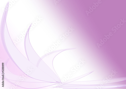 sfumato viola