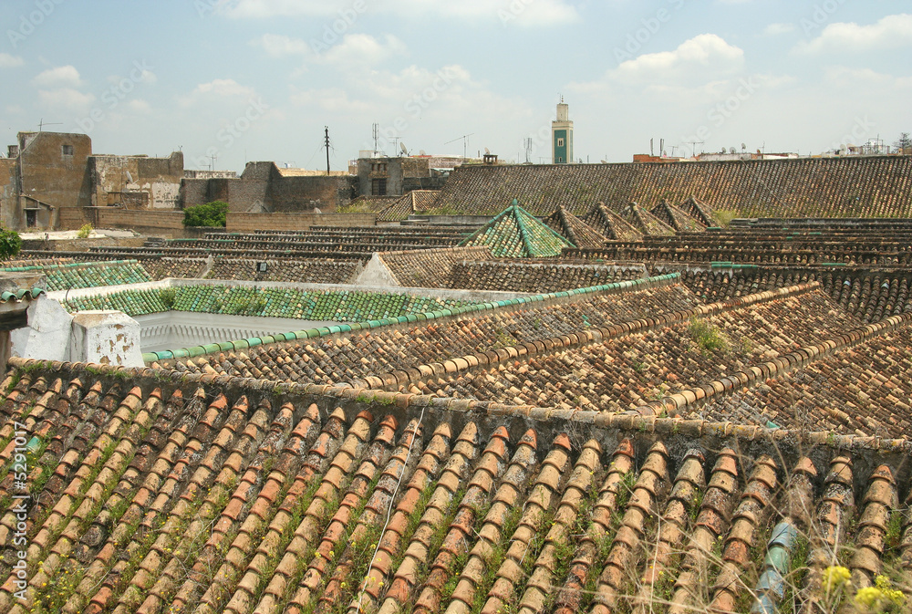 Medina roofs