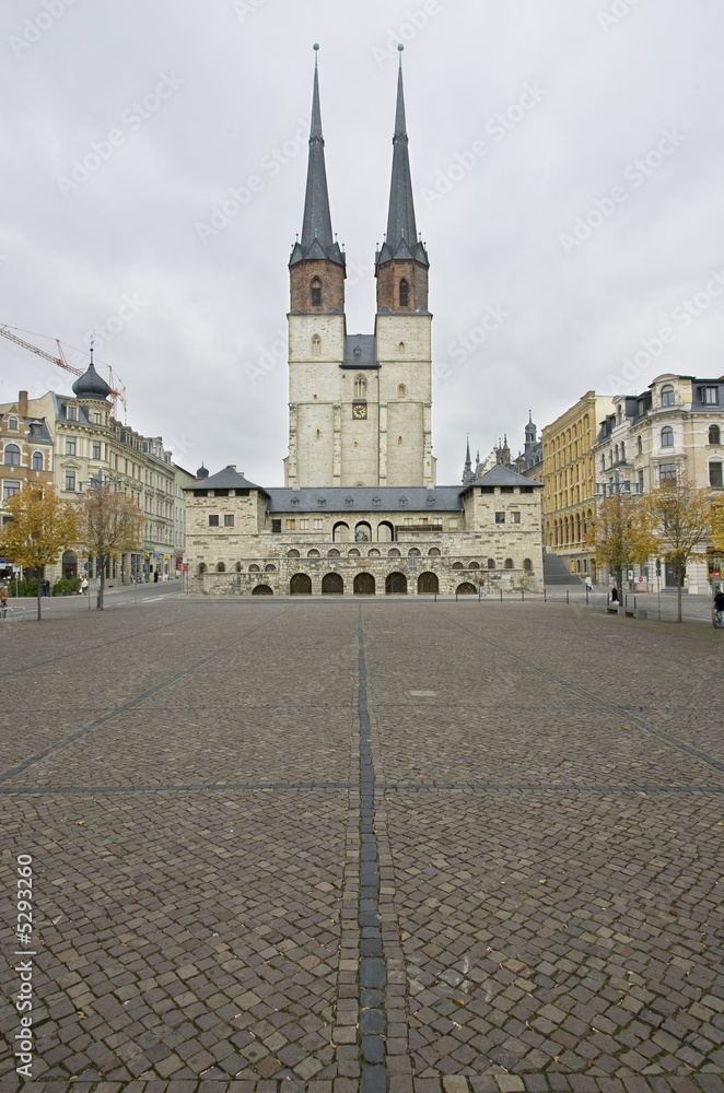 Naklejka premium Dom in Halle/Saale