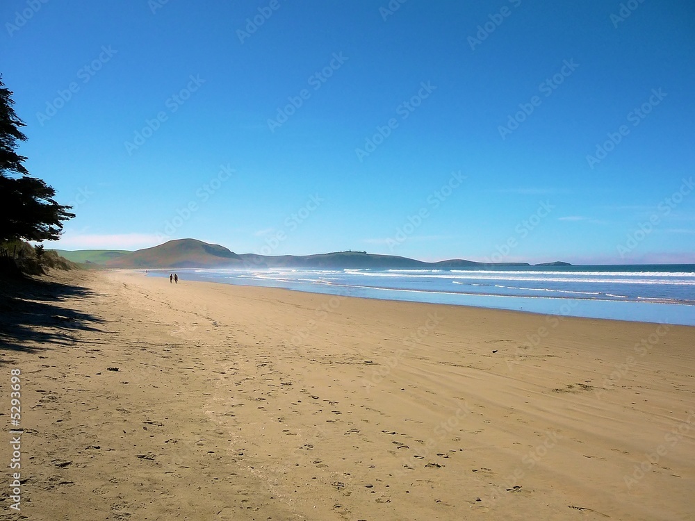 Strand in Neuseeland