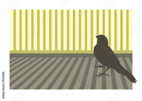 Canary bird silhouette with geometric background