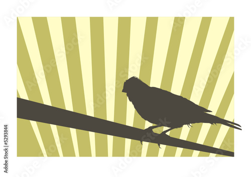 Canary bird silhouette with geometric background