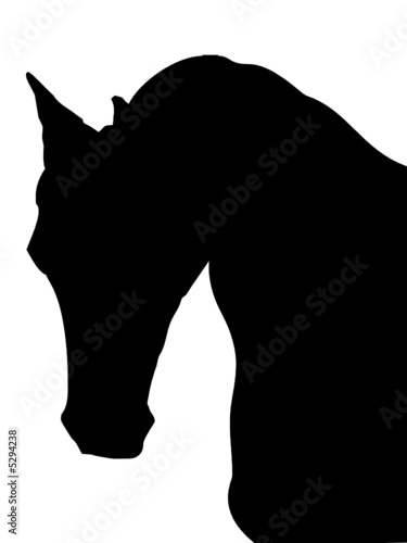 horse head silhouette 1