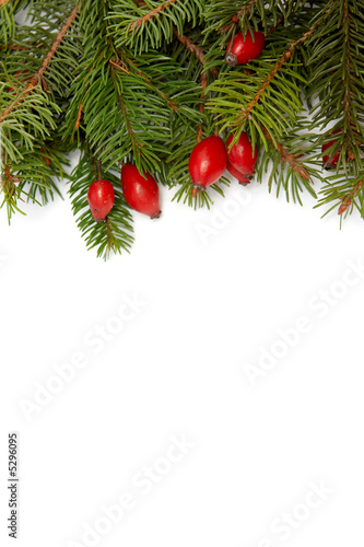 Red-green christmas arragement