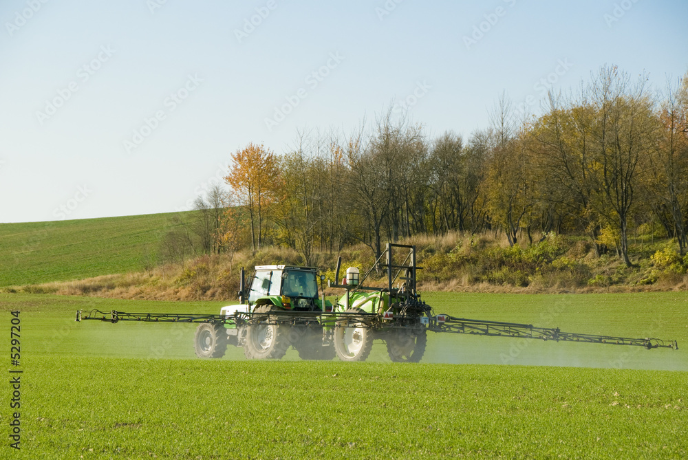 Fototapeta premium agriculture