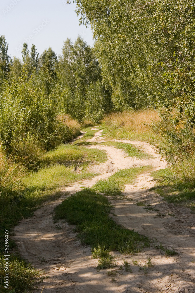 Obraz premium Wild Highway