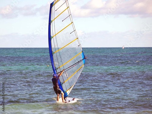 Sailboarder