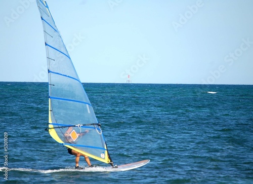 South Florida Windsurfer