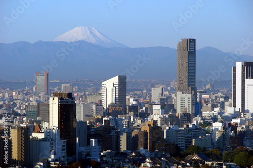 Mont Fuji vu de Tokyo #5301470