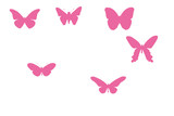 Butterfly 006