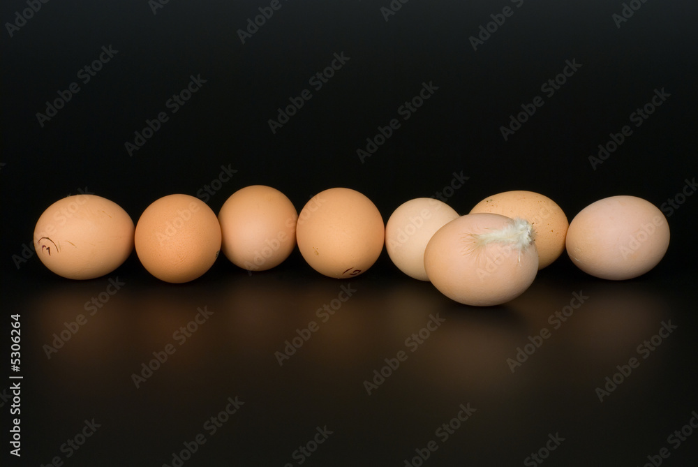 egg egg
