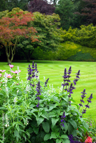 Nice ornamental garden