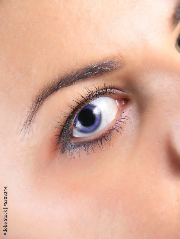 Obraz premium Blue eye