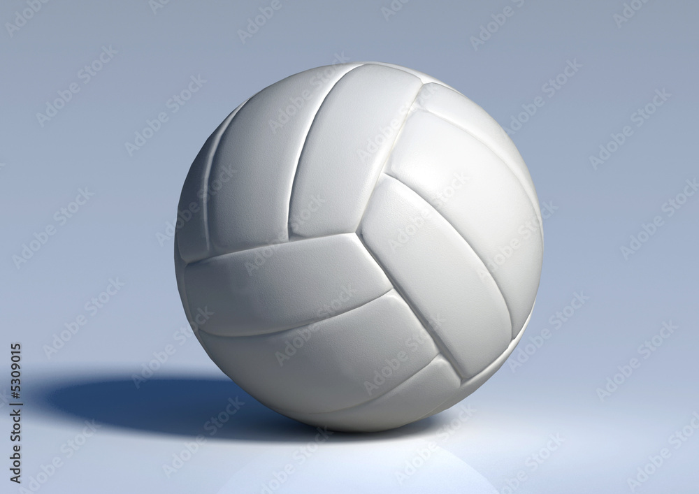 palla da volley