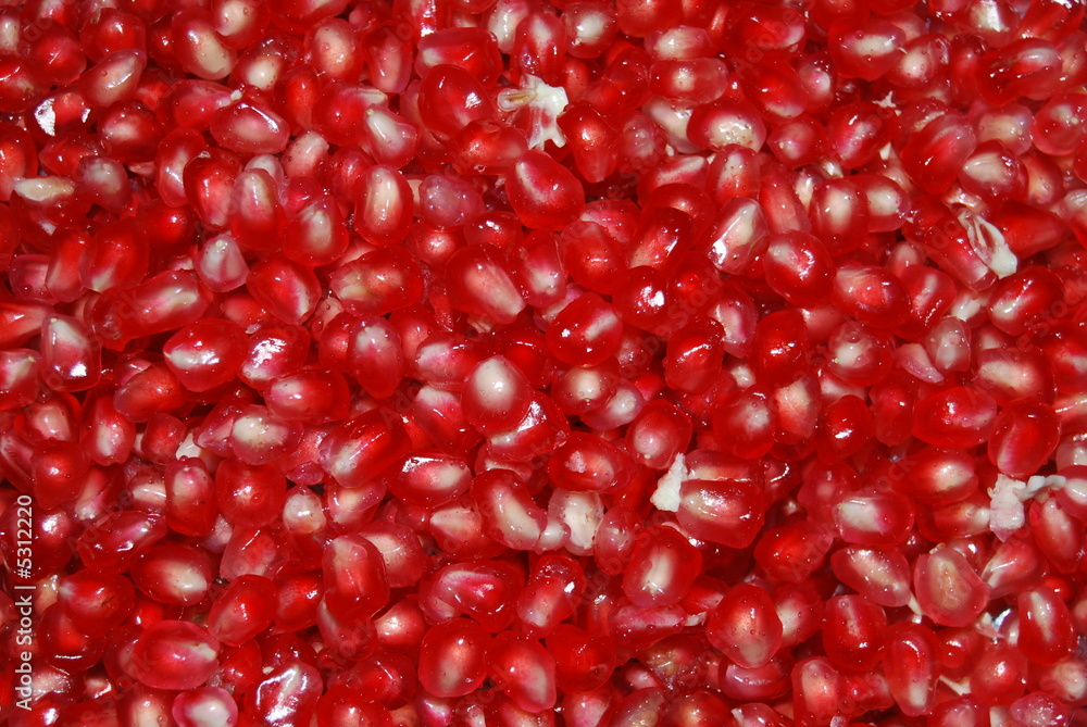 pomegranate pomegranate