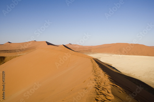 African Dune