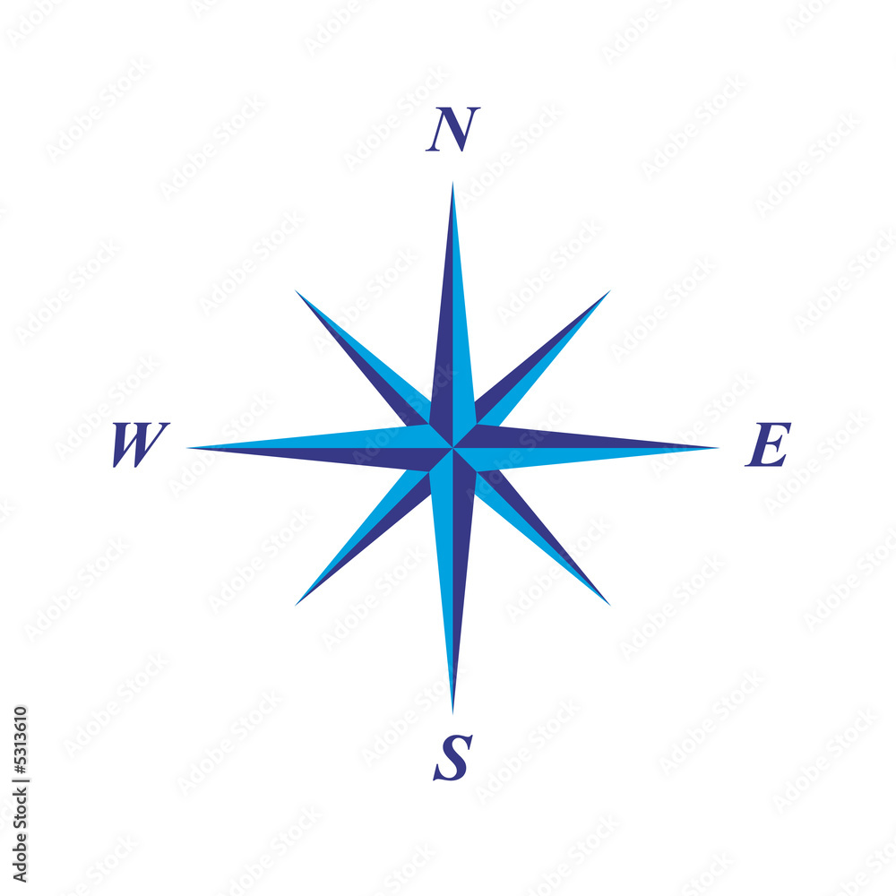 Fototapeta premium simple elegant compass rose