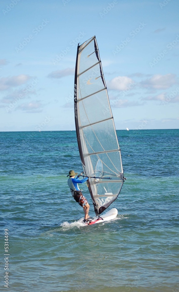 Windsurf Sailor