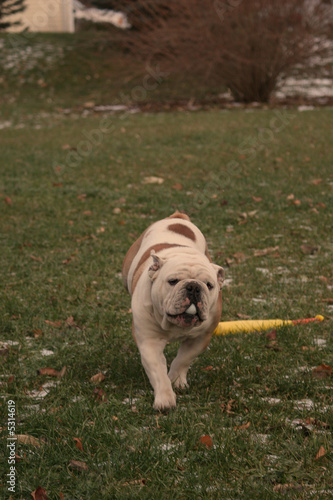 Fetch