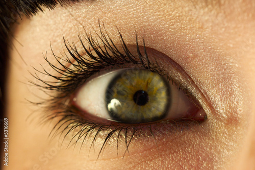 eye-6