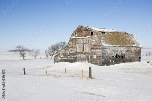 Rustic barn in rural snow covered landscape. © iofoto
