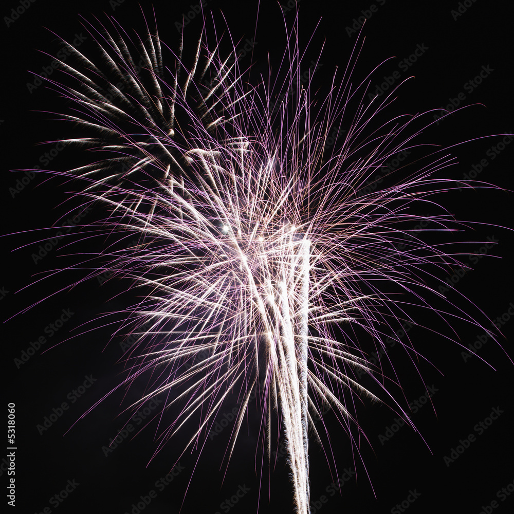 Obraz premium Fireworks at night.