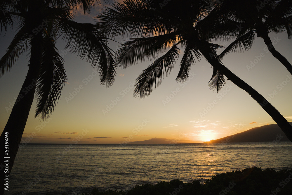Obraz premium Tropical Hawaiian sunset.
