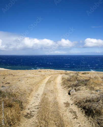 Dirt road to beach.