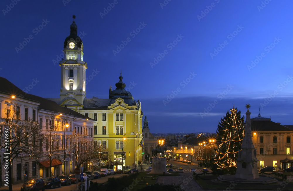 Beautiful view of town at night with christmas tree and lights