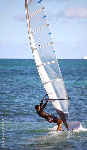 Sailboarder