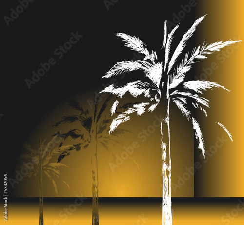 modern palm