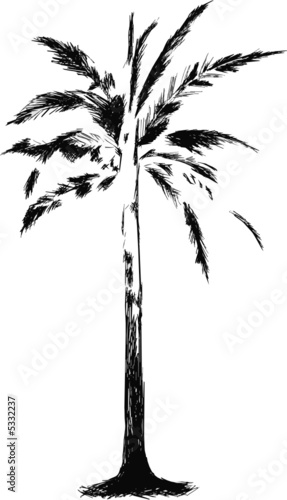 palm tattoo