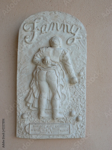 fanny2 photo