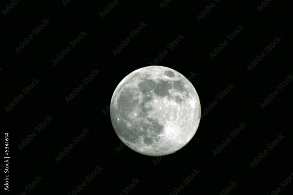 Fototapeta premium Harvest Moon