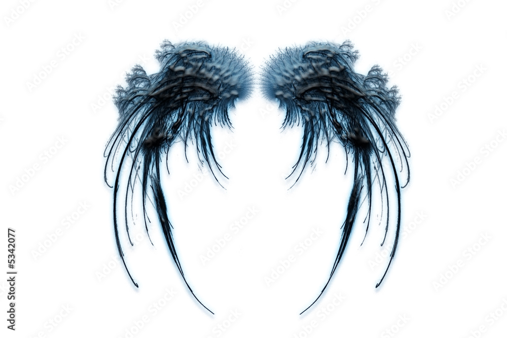 Fototapeta premium wings