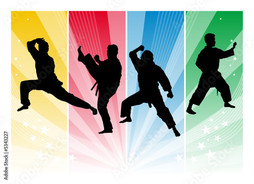 Olympic Games - Martial Art