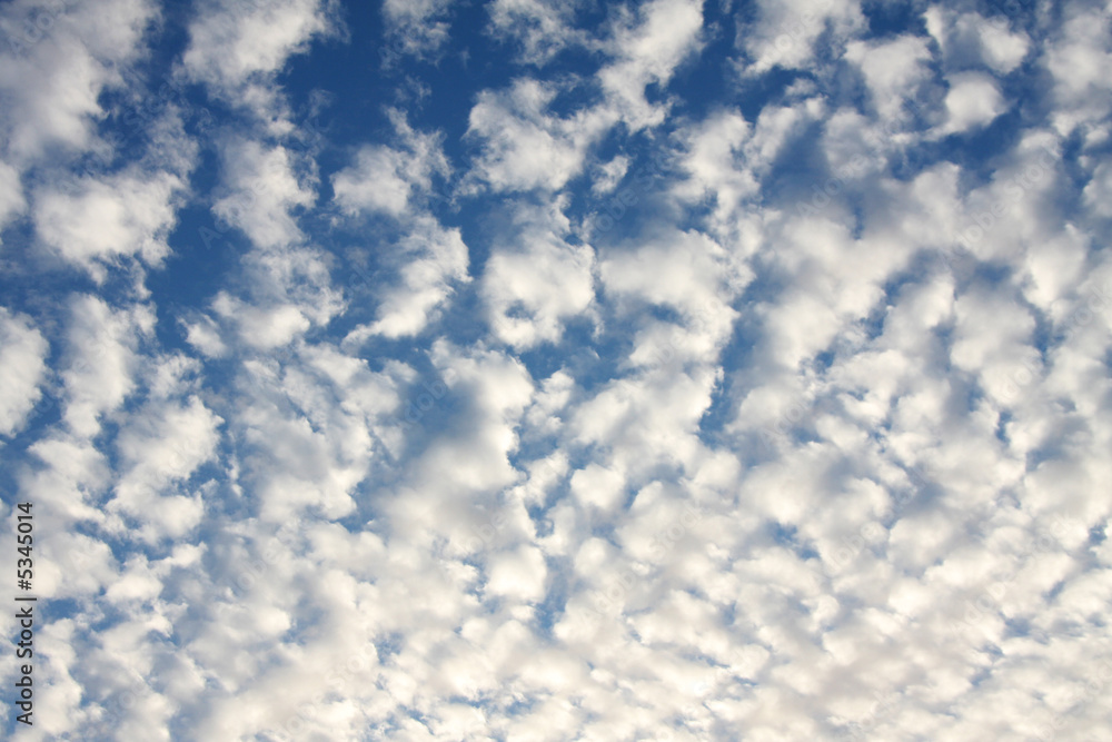 Fototapeta premium sky with lots of fluffy clouds