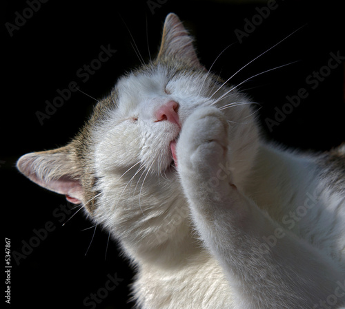 Fotografie hygiene