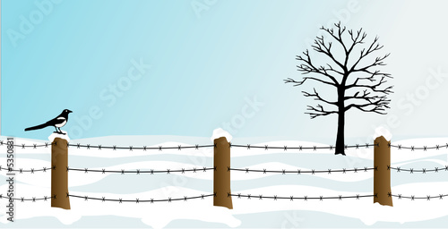 paysage d'hiver