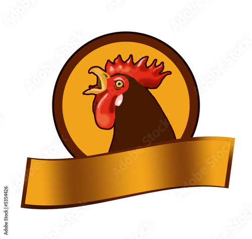 chicken illustration- head photo