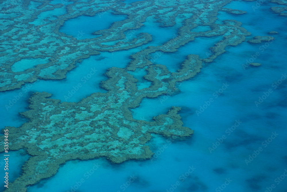Fototapeta premium Great Barrier Reef, Australia
