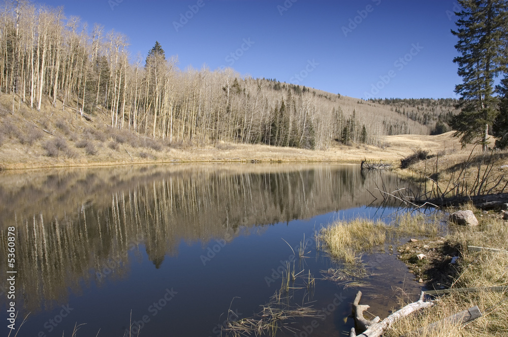 a tree lined Mountain lake in Lassen National Park a tree lined Mountain lake in Lassen National Park