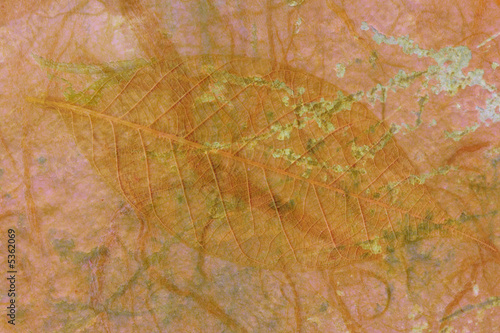 Grunge background