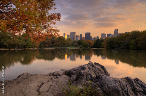 Autumn scene at sunset