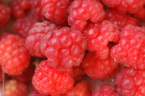 raspberries