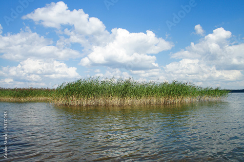 reed the lake