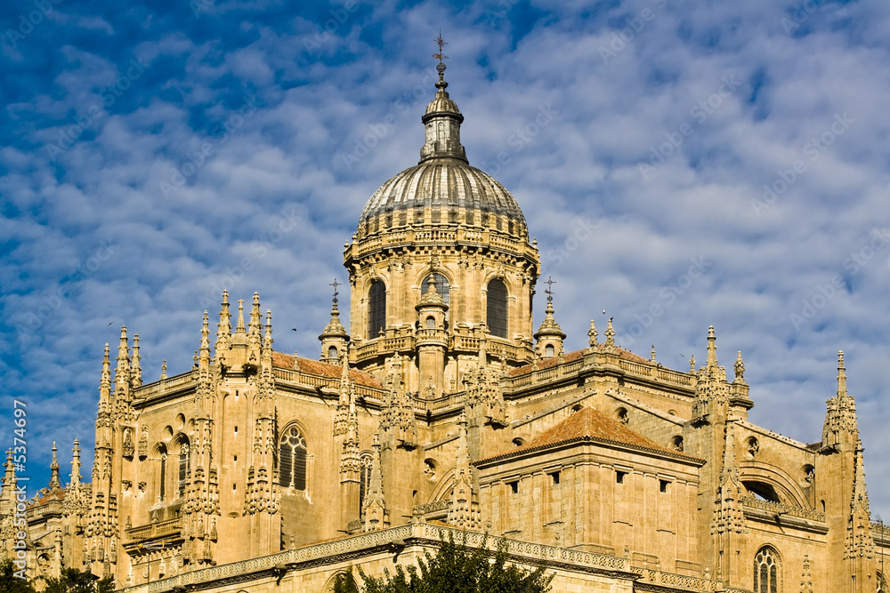 Detail of Salamanca cathedral, Spain.